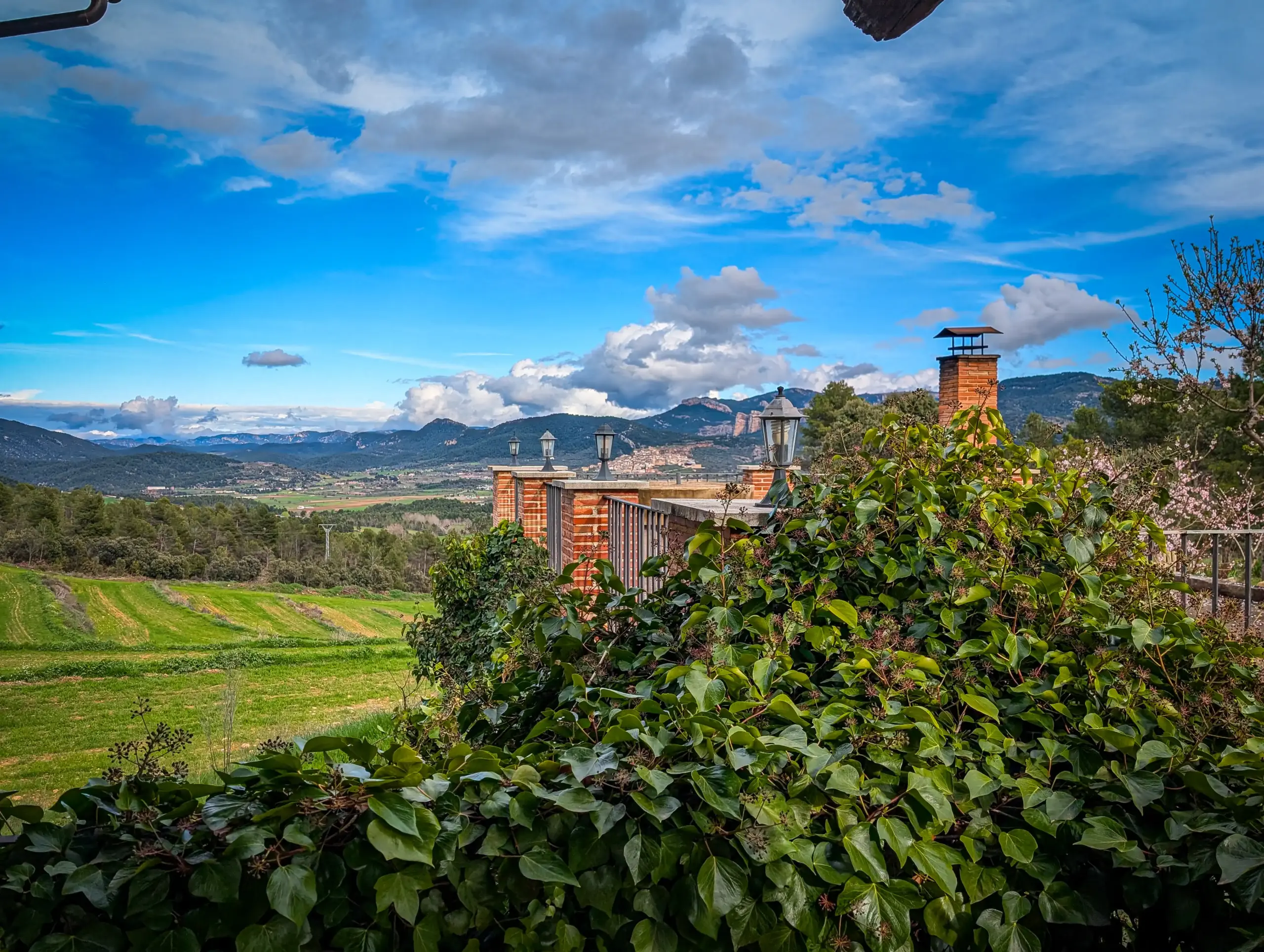 PXL_20260309_153657970